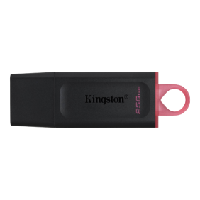 Kingston DataTraveler Exodia 256GB USB Flash Drive – DTX/256GB