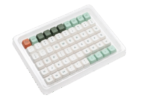 Ducky PBT Dye-Sub Keycaps 132 Key Dino - MDA Profile