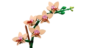 LEGO Botanicals Mini Orchid - Image 3