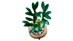 LEGO Botanicals Lucky Bamboo - Image 3