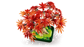 LEGO Botanicals Japanese Red Maple Bonsai Tree - Image 4